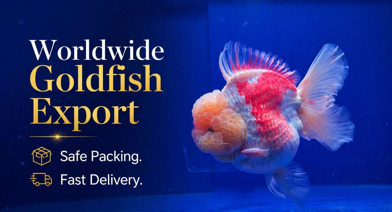 GoldFishID System promo